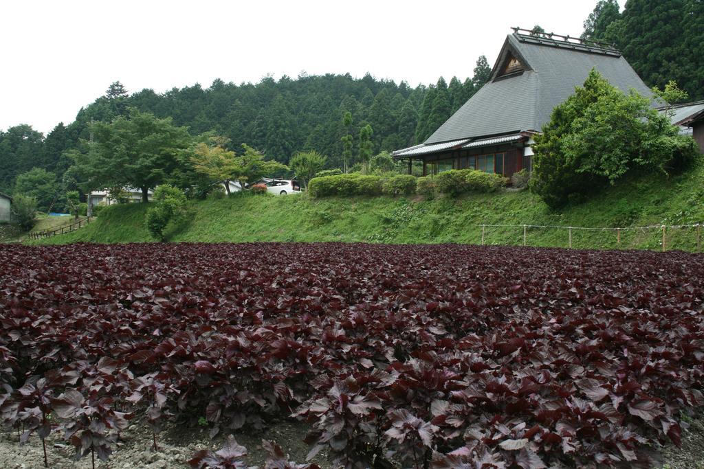 Hotel Yumoto Onsen Oharasansou Kyōto Exterior foto