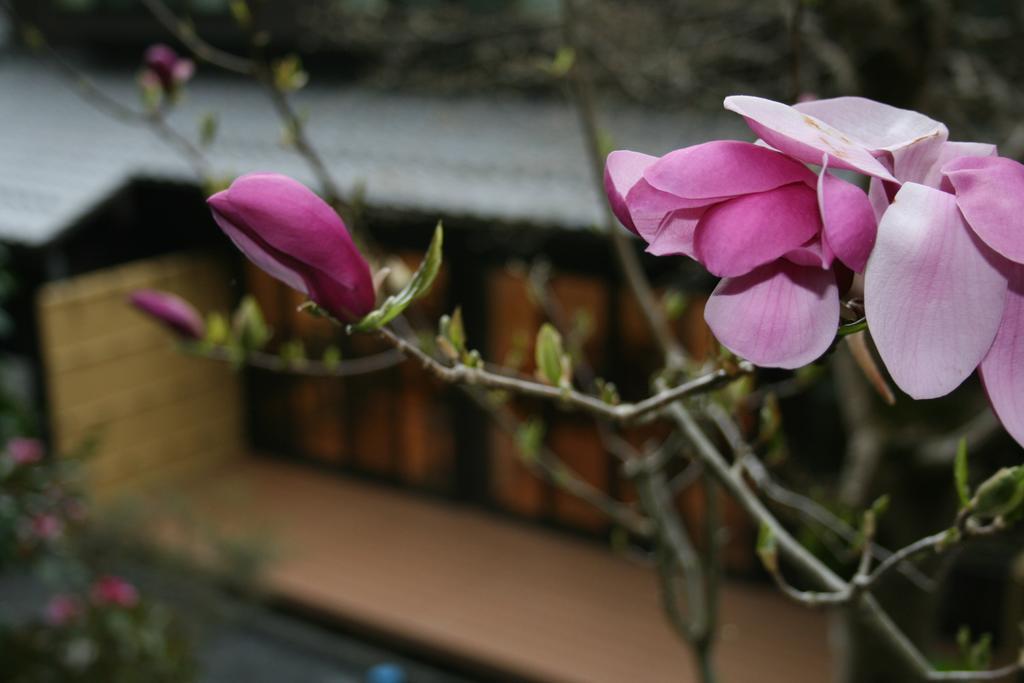 Hotel Yumoto Onsen Oharasansou Kyōto Exterior foto